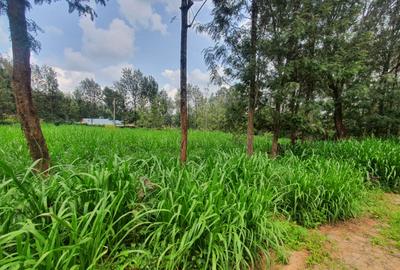 1 ac Land in Karen - 2