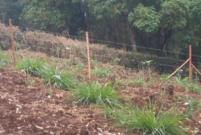 Land in Ngong - 3