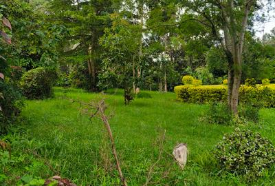 Residential Land at Hardy Area - 4