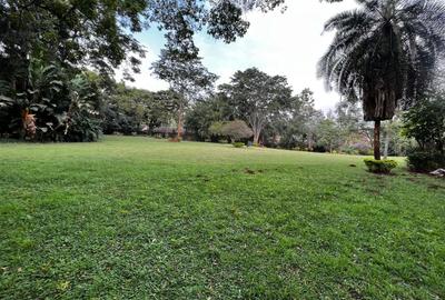 Commercial Property with Backup Generator at Westlands - 3