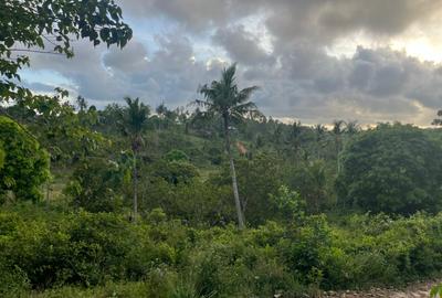 0.6 ac Land at Ls219 - 2