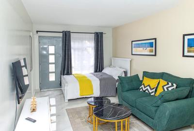 Serviced Studio Apartment with Gym at Off Naivasha Road