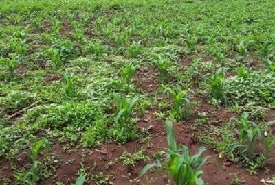 0.113 ac Land in Ngong