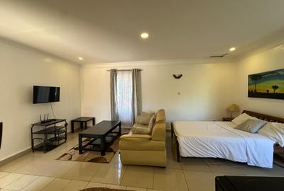 Furnished Studio Apartment with Swimming Pool in Lavington