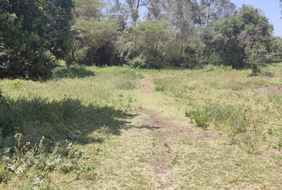 1 ac Land at Ndovu Road