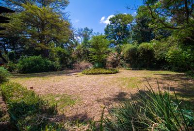 Residential Land in Lavington