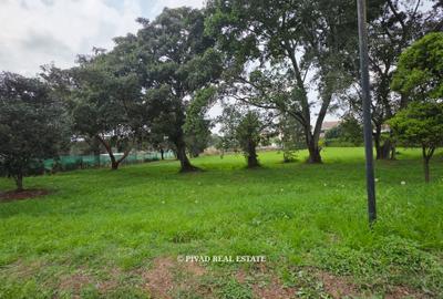 1 ac Land at Karen Miotoni