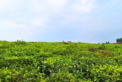 20 ac Residential Land at Riara Ridge - 2