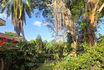 3 Bed House with En Suite in Spring Valley - 3