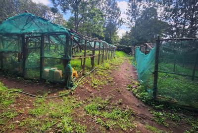 Commercial Property with Service Charge Included at Bomas - 2