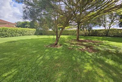 4 Bed House with En Suite in Nyari - 3
