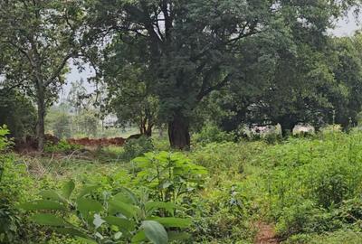 Land in Karen