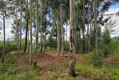 Land at Rwacumari