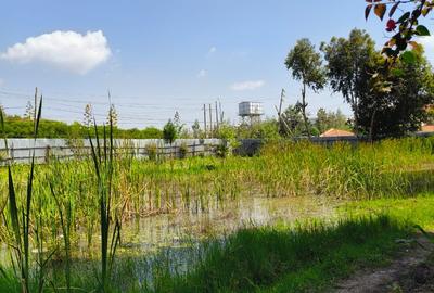 Residential Land at Karen