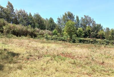 0.12 ac Land at Kerarapon Drive - 2