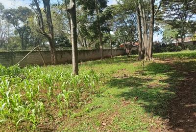 Commercial Land at Westlands