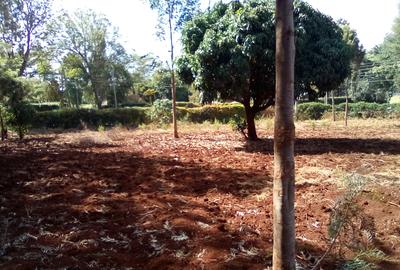 Land at Kiambu