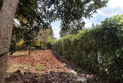 0.5 ac Residential Land at Muthithi Estate