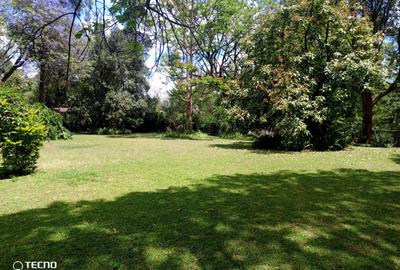 Residential Land at Kitisuru