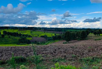 Land in Tigoni