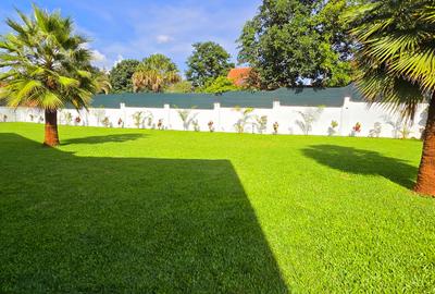 Commercial Property with Backup Generator at Panafrican Road - 3