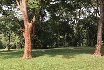 4 ac Residential Land in Kiambu Road - 3