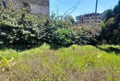 Commercial Land at Gitaru - 3