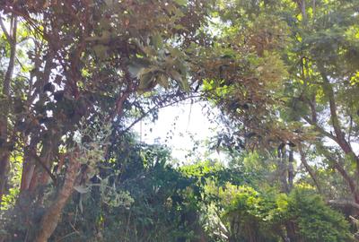 3 Bed House with En Suite at Dagoretti Road
