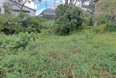 1 ac Land at Rhapta Road - 3