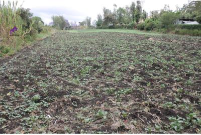 0.10 ha Land at Rimpa Road - 4