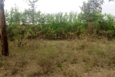 0.125 ac Commercial Land at Karai Estate