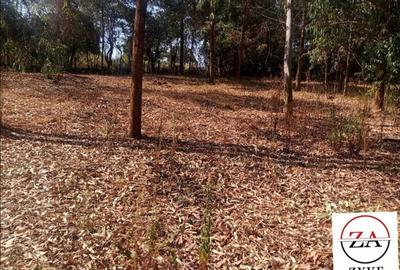 0.125 ac Residential Land at Near White House - Near Muiru Drive