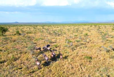 Land in Nanyuki