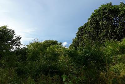 4,047 m² Commercial Land in Kilifi County