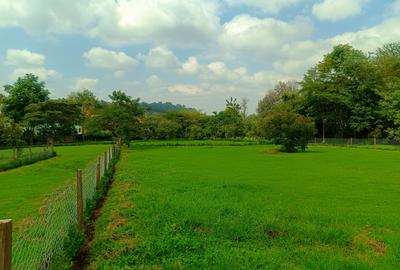 1,000 m² Residential Land at Bondeni Area - 3