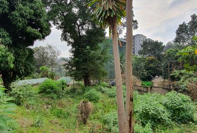 0.9 ac Land at Rhapta Road