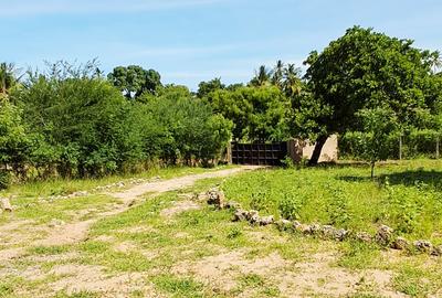 Land at Kilifi Tezo - 4