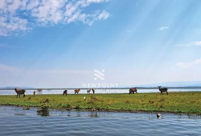 10 ac Land in Naivasha - 2