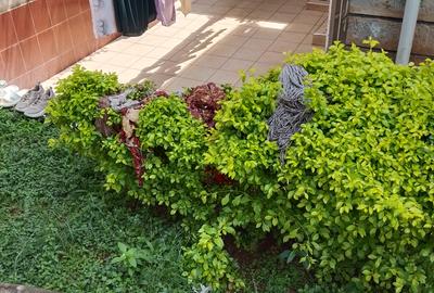 4 Bed Townhouse with En Suite at Kileleshwa