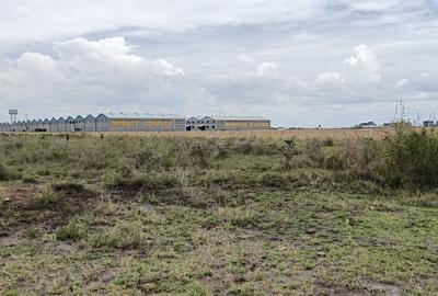 Land at Eastern Bypass