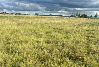 Residential Land at Sunshine - 4