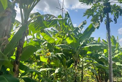 2 ac Land at Karingani - 3