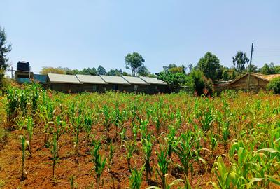 1,000 m² Residential Land at Gikambura - 4