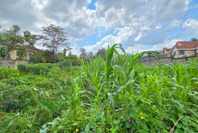 Residential Land in Runda