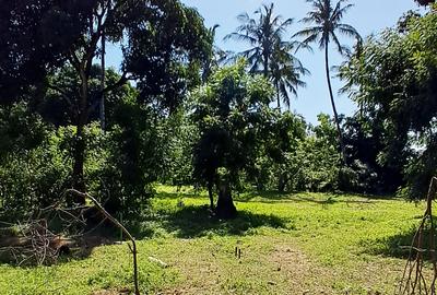 Land at Mtwapa - 4