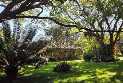 4.45 ac Land at Karen Hardy - 3