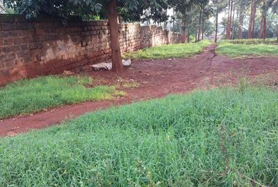 0.75 ac Residential Land at Thindigua