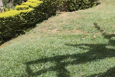0.75 ac Land in Lavington - 3