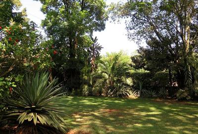 Residential Land at Jacarada Avenue - 2