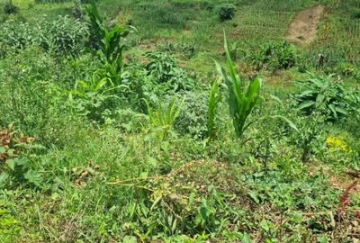 Residential Land in Kitisuru